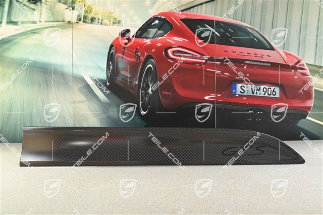 Front door cover / trim, Carbon finished in matt, L