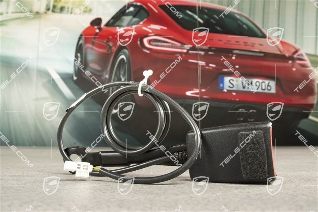 Seat belt buckle / receptacle, drivers side