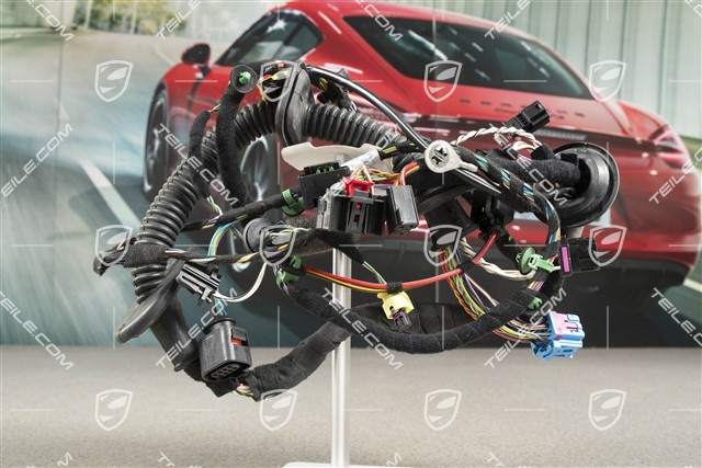 Wiring harness, Assembly frame, driver's door, Spyder, L
