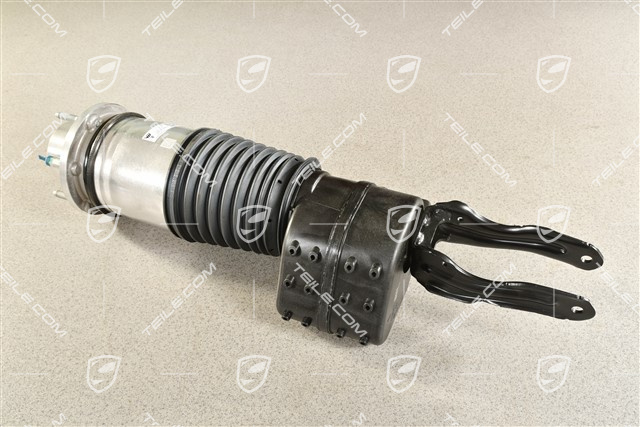 Stossdämpfer / Schwingungsdämpfer, Luftfederung, VA, PASM, L