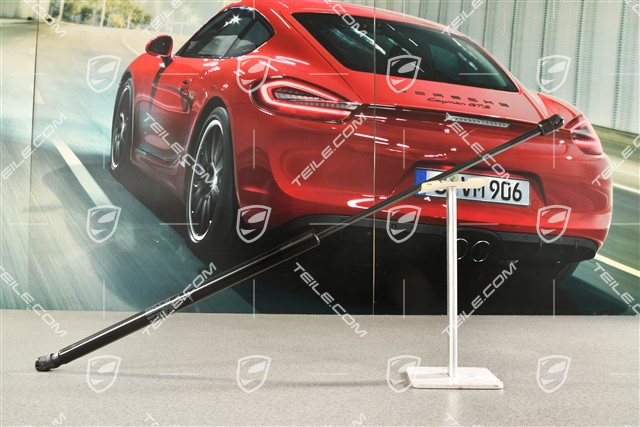 Bonnet gas strut / damper