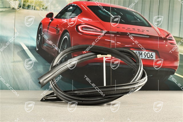 Dichtung / Türdichtung, L