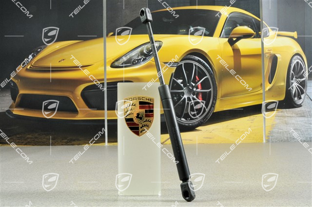 Gasdruckfeder, R Gasdruckfeder, R