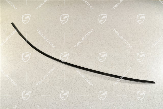 Zierleiste Tür vorne, Schwarz L