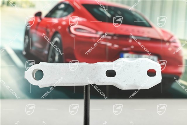 Suspension member plate, L=R