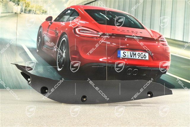 Wing / Fender Rear Cover, Black, L