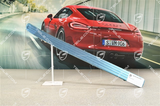 Blende, Einstiegleiste, vorn, Edelstahl, L