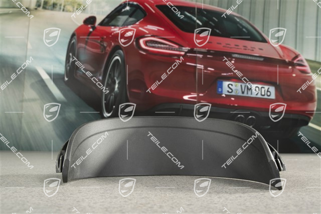 Endrohr Blende, Schwarz matt, GTS 4.0, R