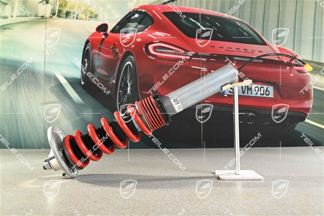 Stoßdämpfer für die Hinterradaufhängung, komplett, PASM, GT4 RS, L=R