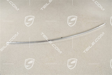 Trim strip for tailgate, Chromed