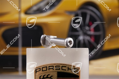 Floater Fixing Elements for PCCB disc