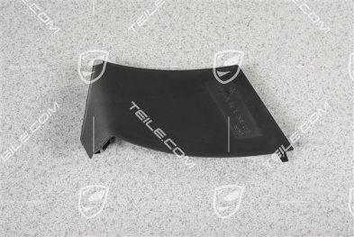 Rear light cover, outer, L