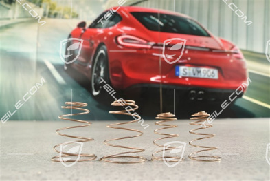 Zestaw naprawczy, sprężynki, tylny zacisk, GT3 CUP