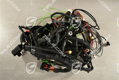 Electrical wiring harness in the engine compartment, Hybrid, R