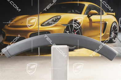Wheel cover, door, rear, Primed, , L