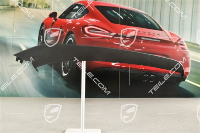 C2, Disc / trim upper for front bumper retaining frame, Black, R