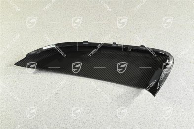Spyder / RS, Blende für Lufteinlass, Carbon, L