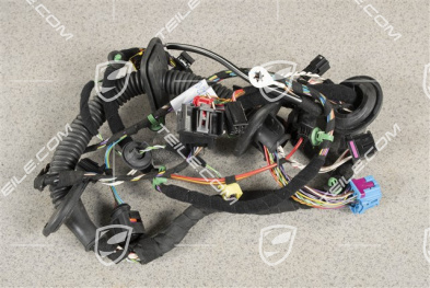 Wiring harness, Assembly frame, driver's door, Spyder, L