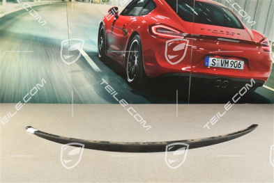 Spoiler (Lippe) für GT3 / AeroKit CUP Stoßstange