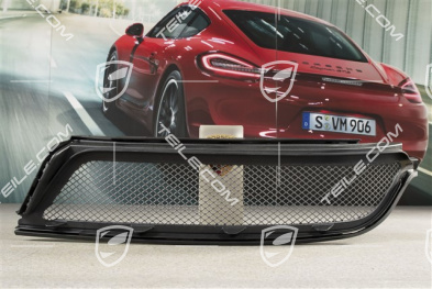 GT3RS Schutzgitter, L