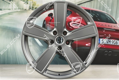 22" Felge Sport Classic, 10J x 22 ET48, Platinum Seidenmatt