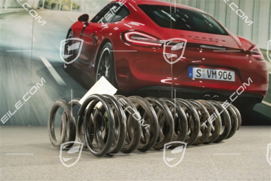 Turbo / C2 / C4, Schraubenfeder, HA, KENN - Grün