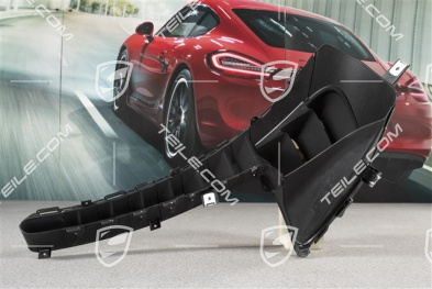 Luftauslass / Kotflügel Gitter, GT3RS II, R