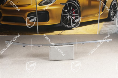 Schwellerblende Zierleiste, Chrom, Langer Radstand, Hinten, L