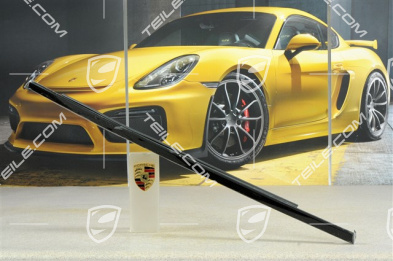 Zierleiste mit Dichtung, Aluminium Paket, Tür hinten, schwarz, L