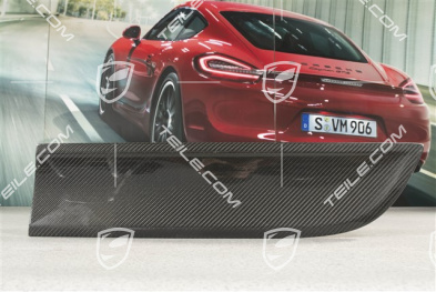 Rear door cover / trim, Carbon Gloss Black, L