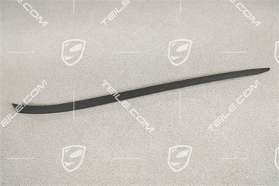 Windshield Water drain strip, A-pillar, black matte, L