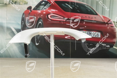 Türgriff, entry+drive, Vorne=Hinten, L