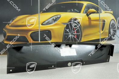 Prowadnica powietrza środkowa, GT3 CUP