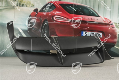 Verkleidung hinten, unten, Spyder, R