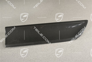 Rear door cover / trim, Carbon Gloss Black, L