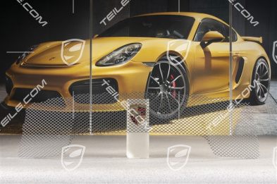 Lufteinlassgitter, 911R