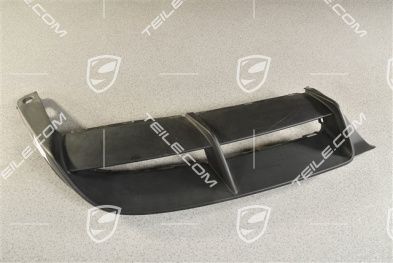Lining rear, lower, GT4, R
