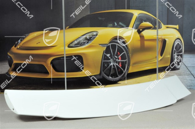 GT3 rear spoiler / wing, upper part
