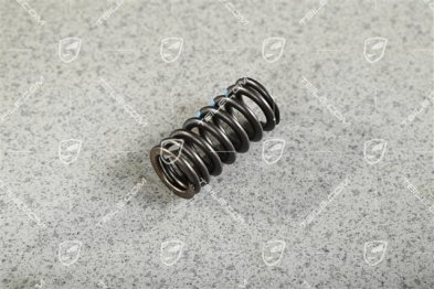 Valve spring, Intake