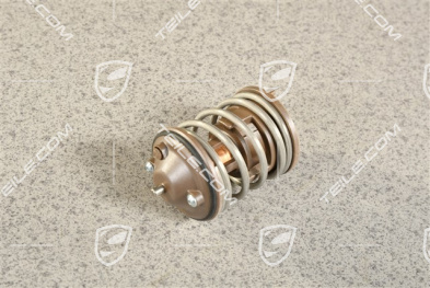 Thermostat insert, 3,6L