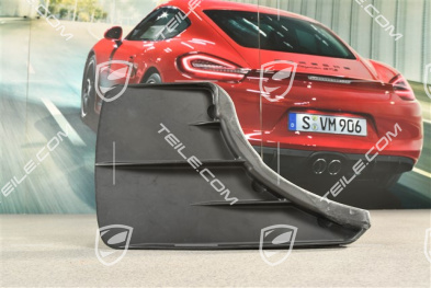 Mud flap, L