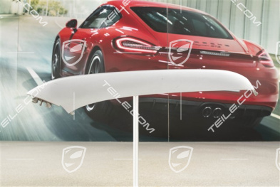 4 / 4S Facelift, Lamelka / blenda kratki zderzaka, dolna, tytanowa, R