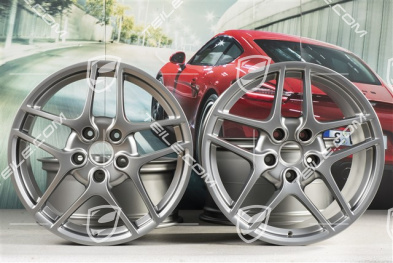 19-inch Carrera S II (Facelift) wheel set, 8J x 19 ET57 + 11J x 19 ET51, Platinum
