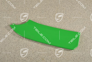Disc / cover for front bumper retaining frame, centre, ACC, R