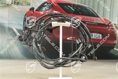 Wiring harness, rear bumper