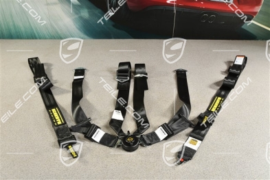 SCHROTH Racing seat belt, profi 2x2, pull-down, 6-point, black, L=R
