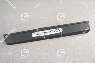Blenden/Einstiegleisten, ohne Beleuchtung, Edelstahl, "Cayman GTS", Satz, L+R