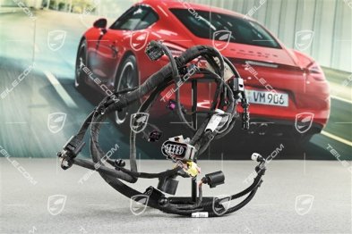 Wiring harness / Electric loom