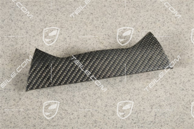 Schalterblende, Carbon