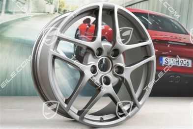 19-inch Carrera S II (Facelift) wheel set, 8J x 19 ET57 + 11J x 19 ET51, Platinum